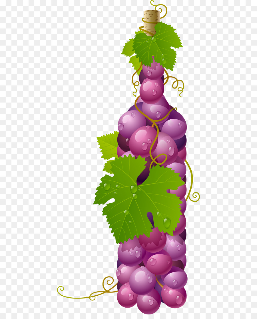 Vino，Términos Bouchet PNG