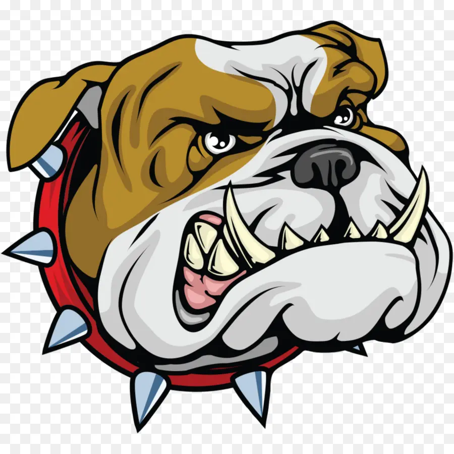 Buldog，Bulldog Francés PNG