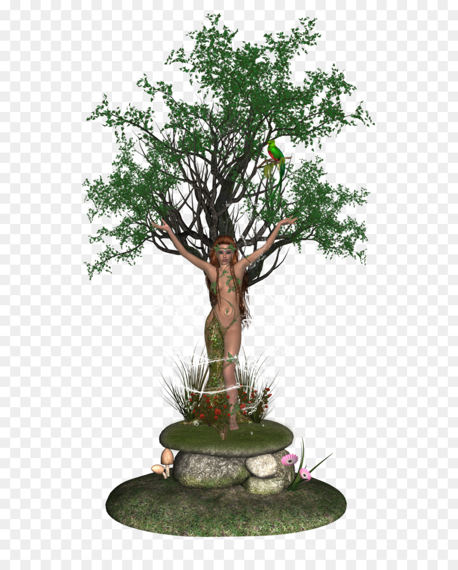 Bonsai，árbol PNG