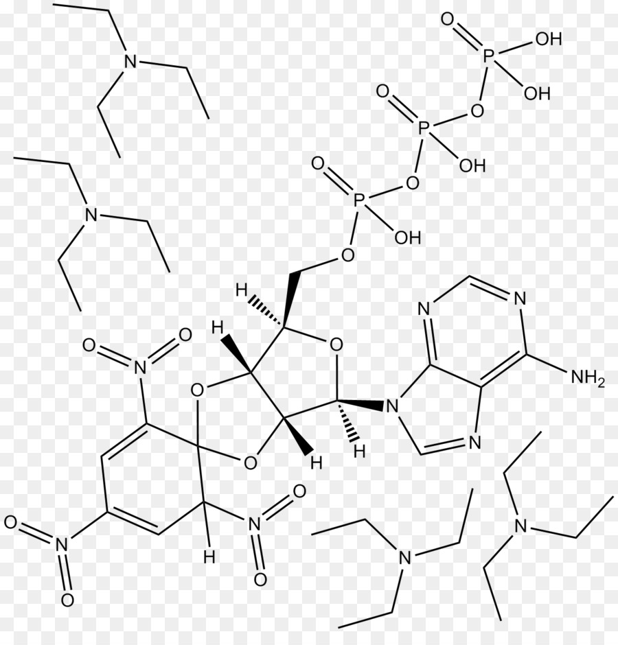 Estructura Química，Molécula PNG