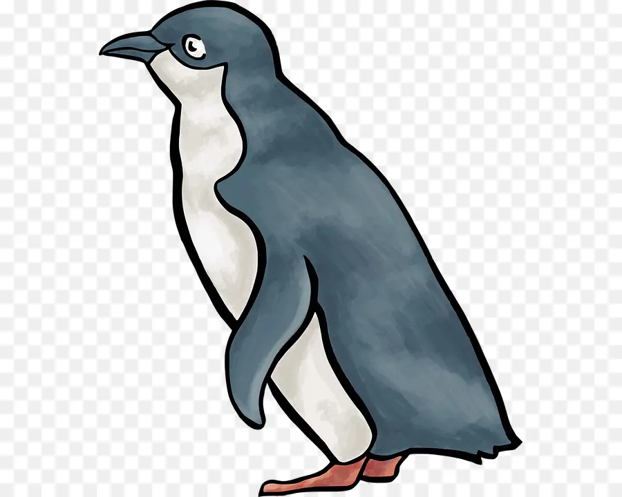 Pingüino，Pájaro PNG