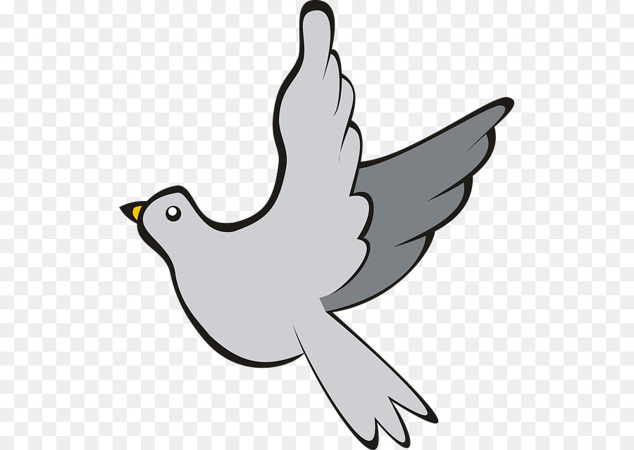 Pájaro，Dibujo PNG