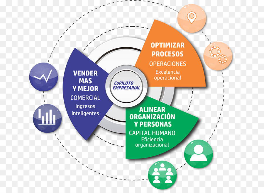 Organización，Persona PNG