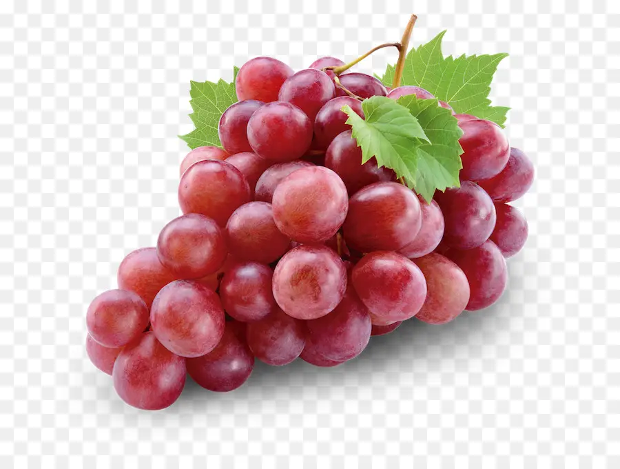 Vine De Uva Común，Vino Tinto PNG