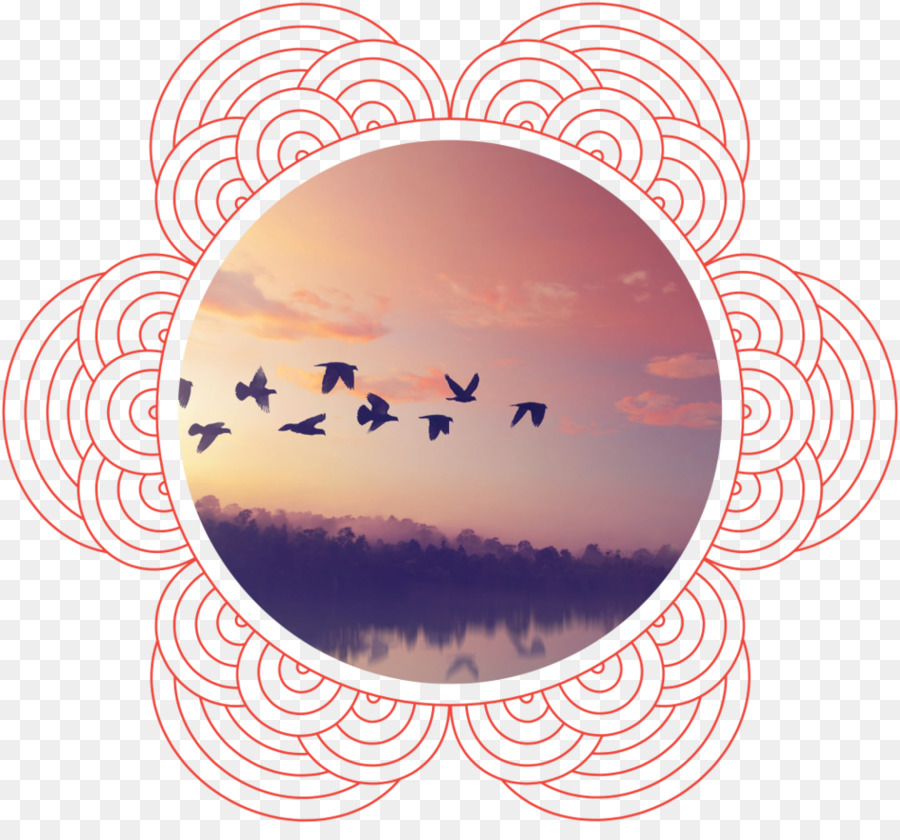 Pájaros Volando，Atardecer PNG