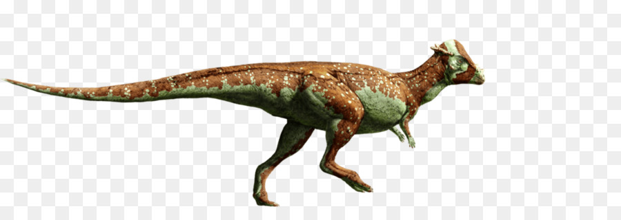 Tyrannosaurus，Pachycephalosaurus PNG