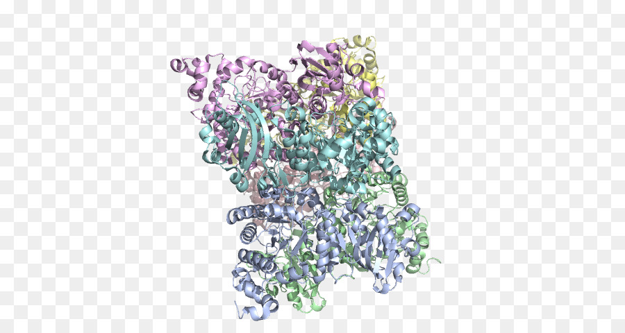 Estructura Proteica，Molécula PNG