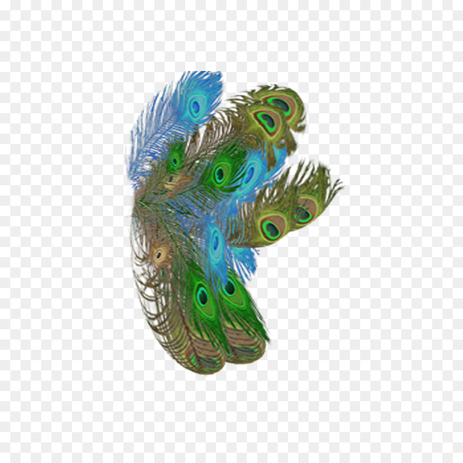 Pluma， PNG