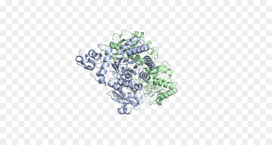 Estructura Proteica，Molécula PNG