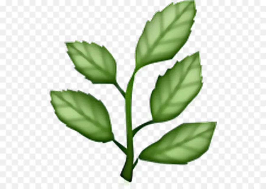 Emoji，Plantas PNG