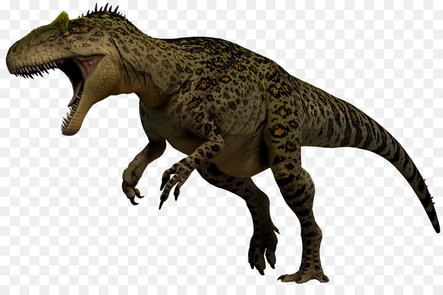 Tiranosaurio，Alosaurio PNG