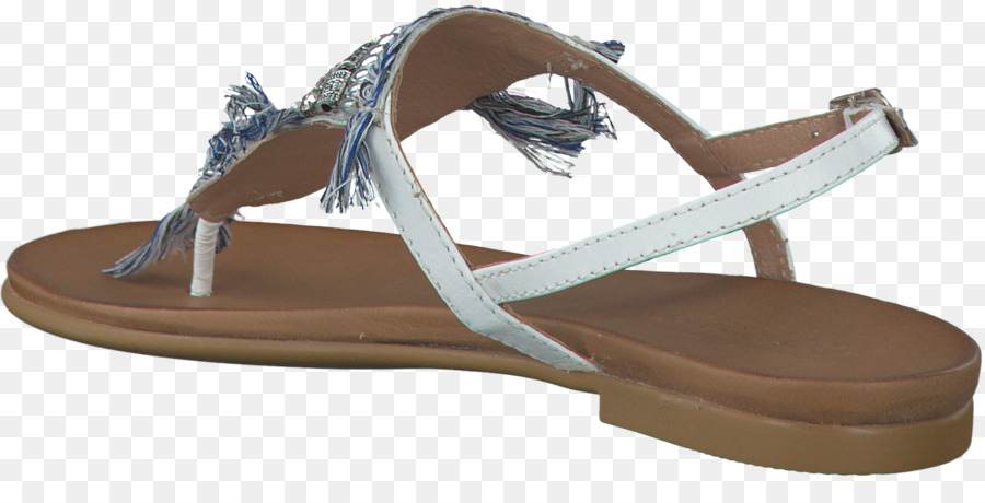 Chancletas，Sandalia PNG