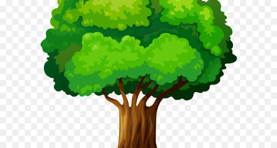 árboles Y Hojas，árbol PNG