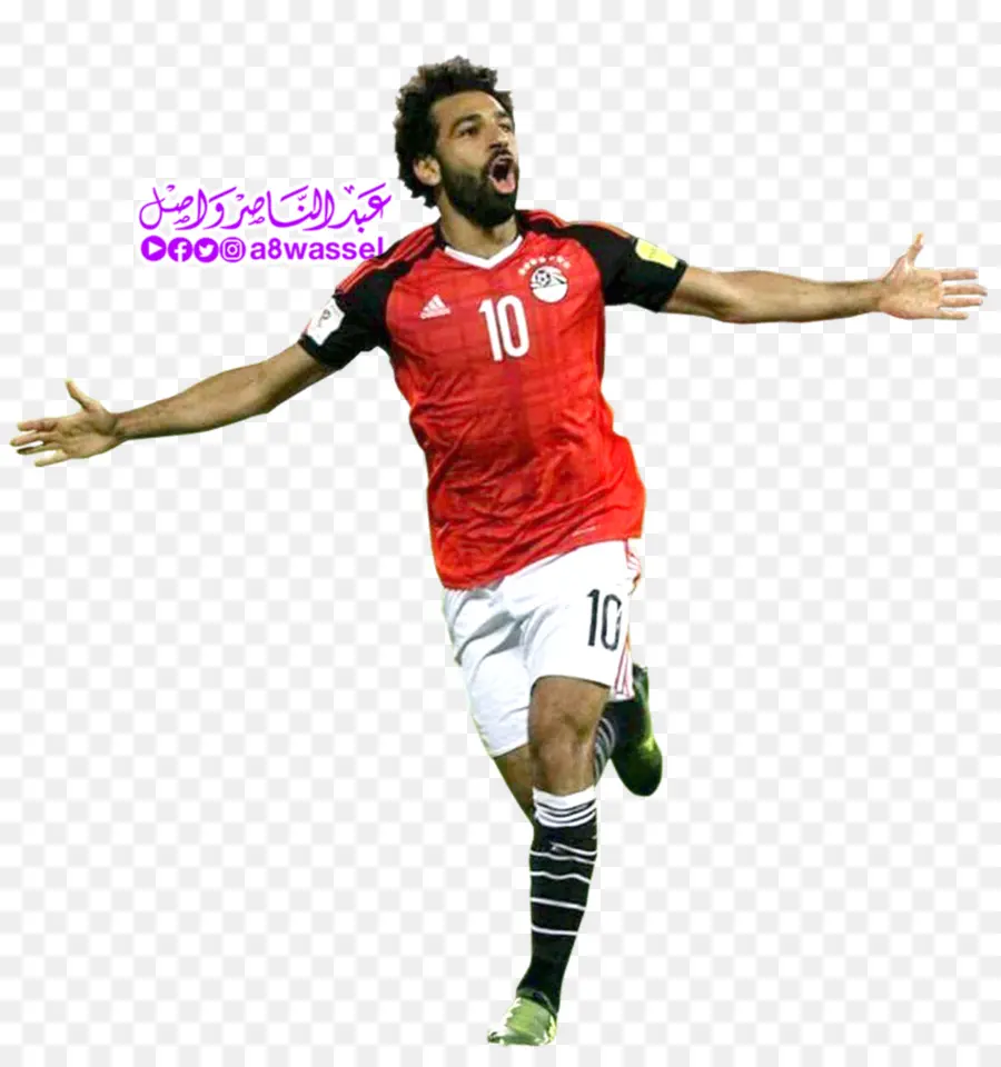 Copa Mundial 2018，Equipo De Fútbol Nacional De Egipto PNG