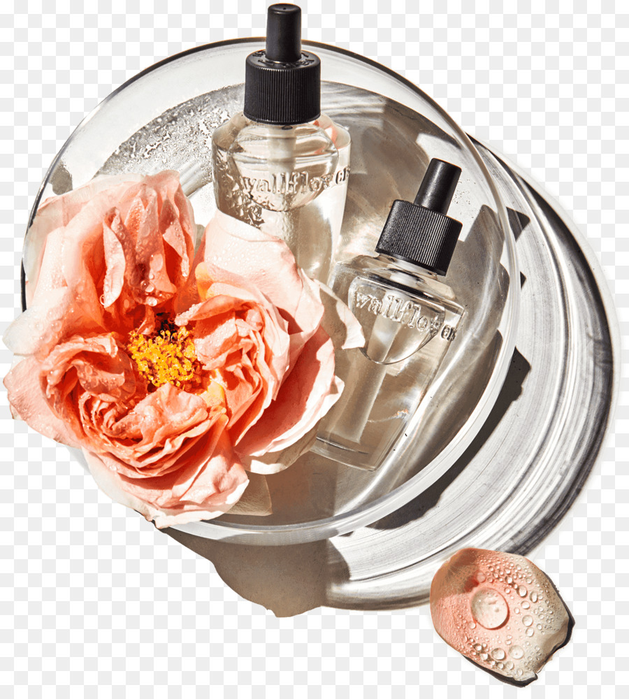 Botellas De Perfume，Flor PNG