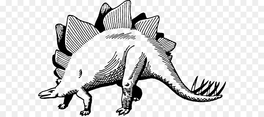 Estegosaurio，Dinosaurio PNG