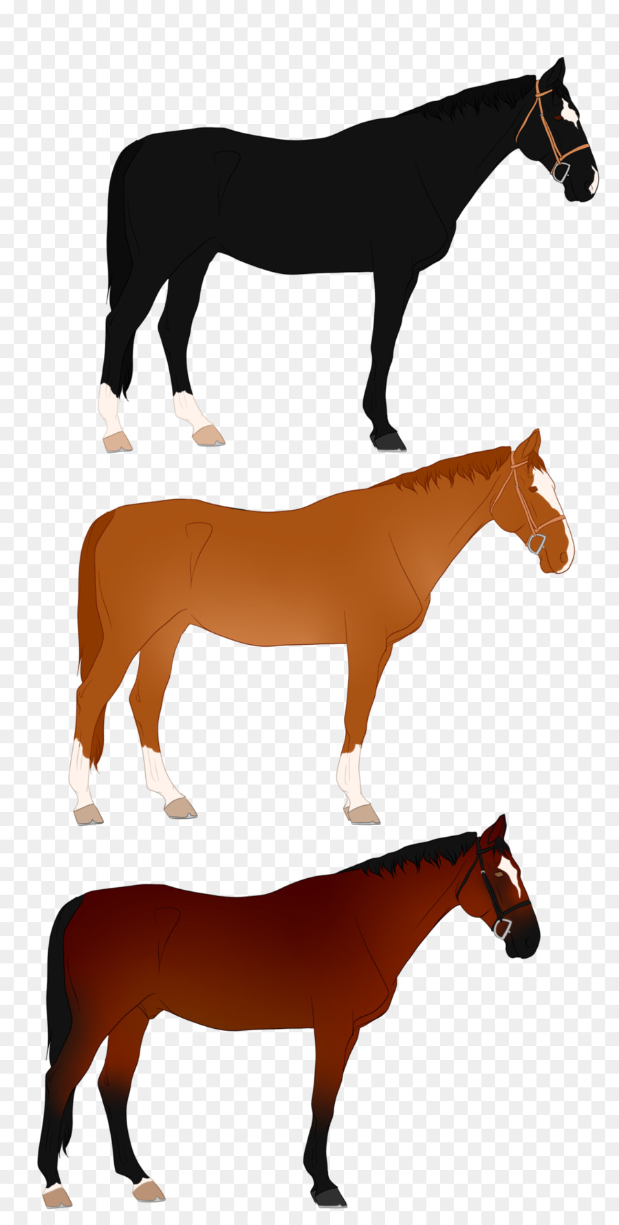 Mustang，Pony PNG