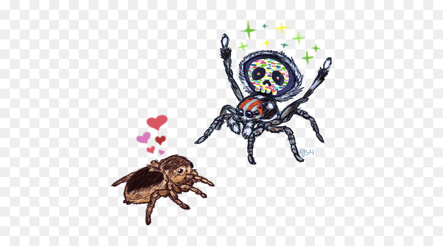 Insecto，Decápodos PNG