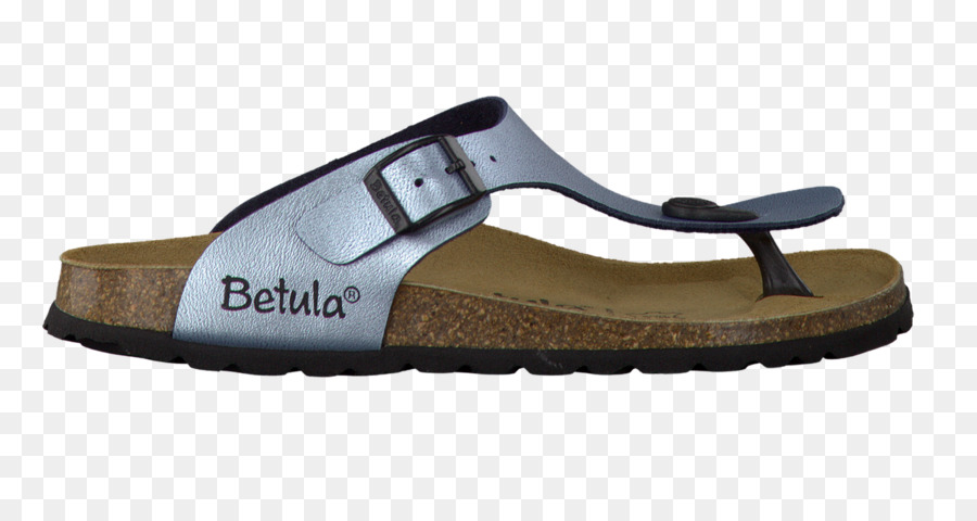 Chanclas，Zapato PNG