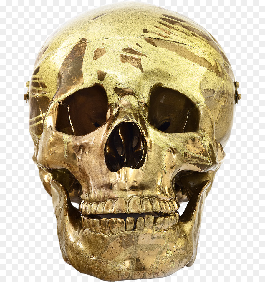 Cráneo，Esquizofrenogénesis De Damien Hirst PNG