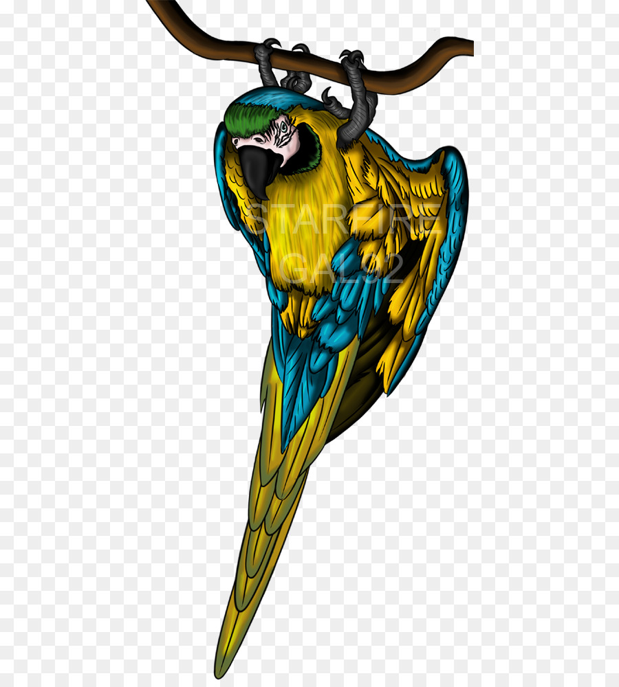 Guacamayo，Guacamá De Amarillo Azul PNG