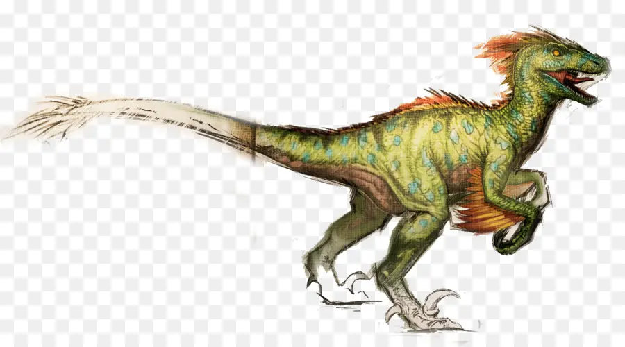 La Supervivencia Del Arca Evolucionó，Utahraptor PNG