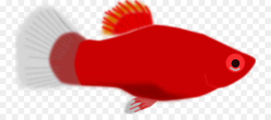 Pescado Rojo，Acuático PNG