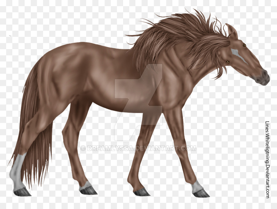 Caballo De Fantasia，Caballo PNG