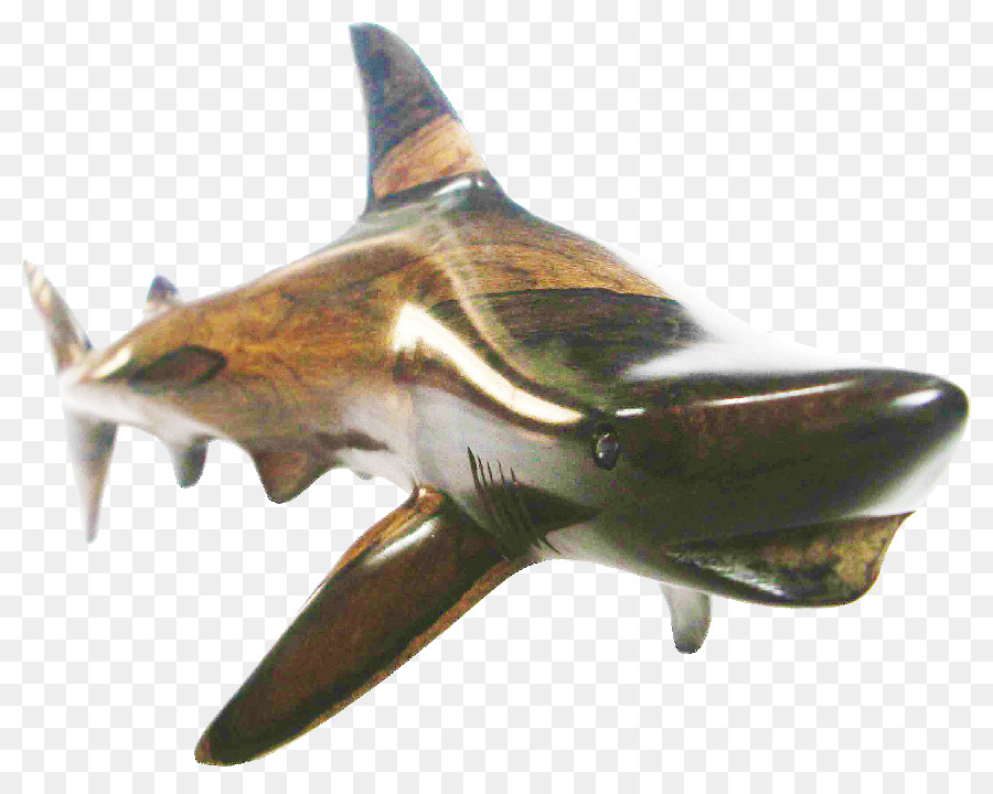 Tiburones Terrestres，Tiburón Negro PNG