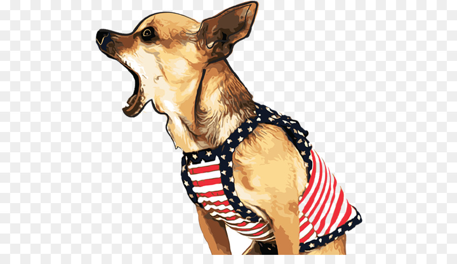 Chihuahua，Cachorro PNG