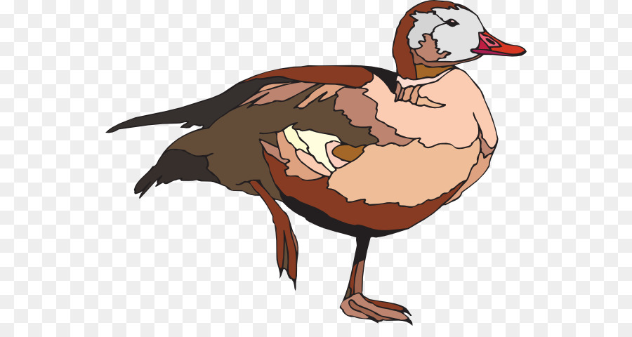 Pato，Pájaro PNG