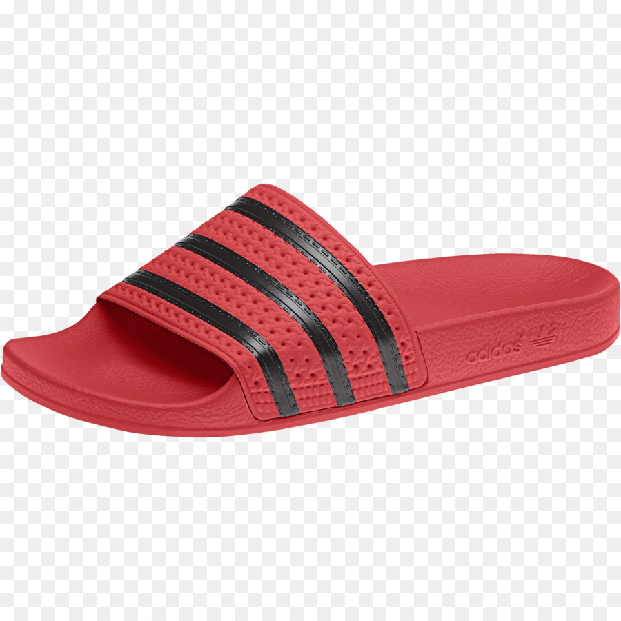 Zapatilla，Chanclas PNG