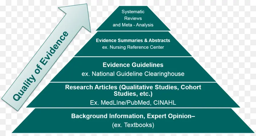 La Evidencia De La Práctica，Los Niveles De Evidencia PNG