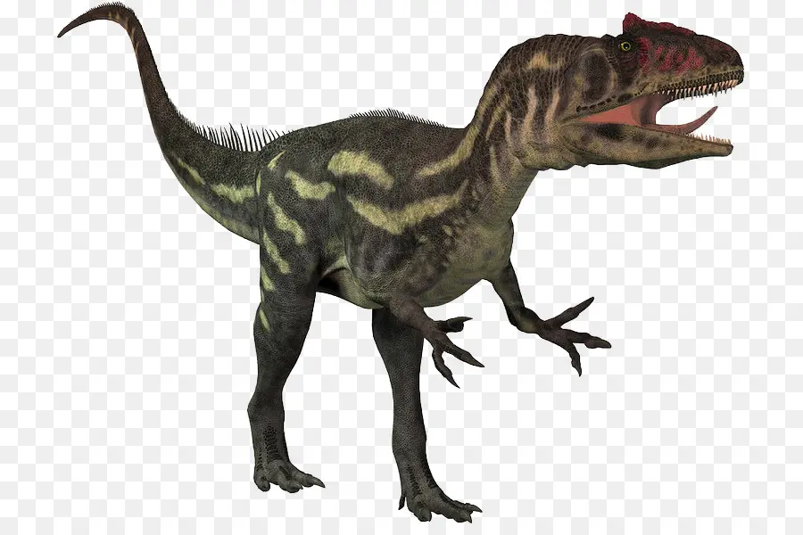 Alosaurio，Dinosaurio PNG