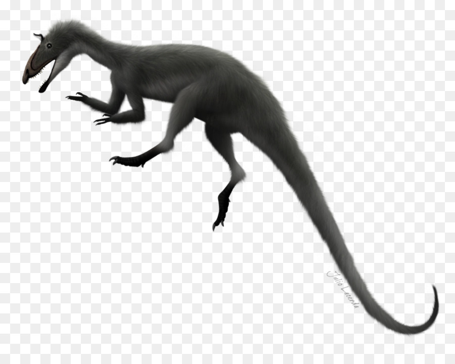 Tiranosaurio，Cryolophosaurio PNG