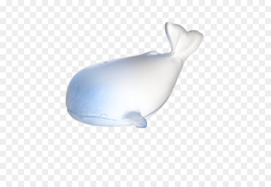 Daum，Ballena PNG