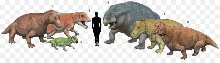 Comparación De Dinosaurios，Tamaño PNG