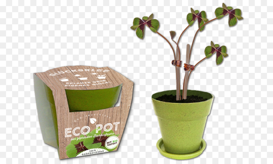 Olla Ecológica，Verde PNG