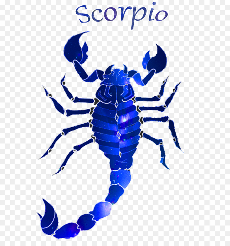 Escorpión，Insecto PNG