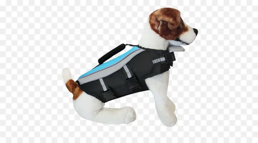 Chaleco Salvavidas Para Perros，Seguridad PNG