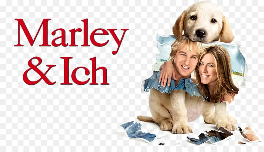 Película，Marley Yo PNG