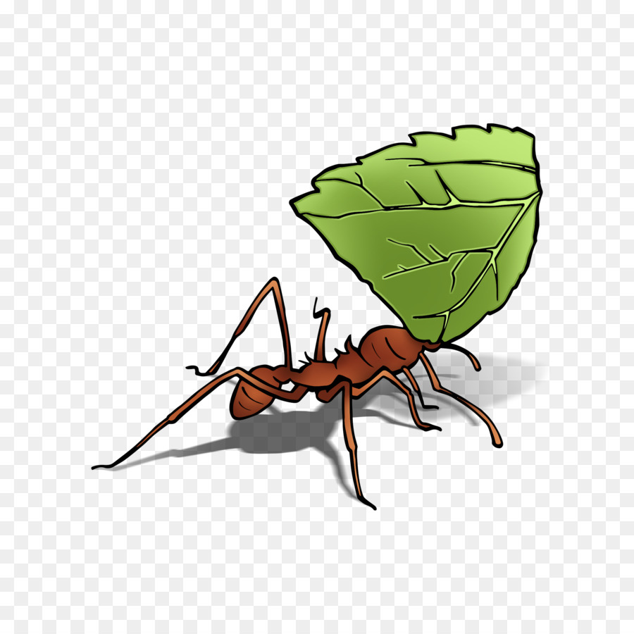 Hormiga，Digiwave Ant7288 PNG