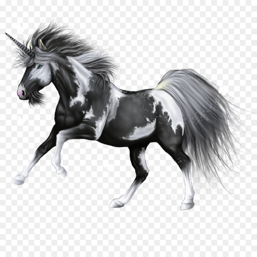 Unicornio，Howrse PNG