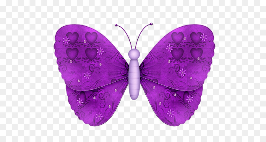 Mariposa，A Una Mariposa PNG