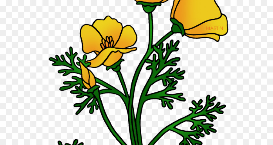 Dibujo，Diseño Floral PNG