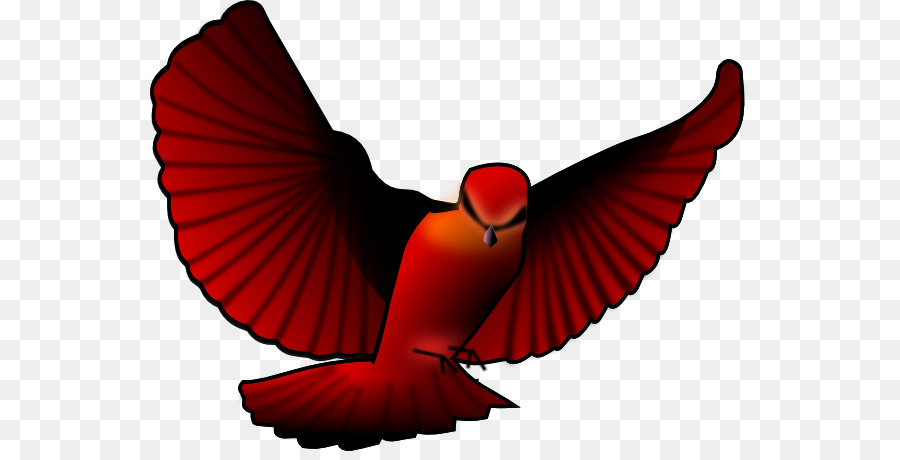 Pájaro，Vuelo PNG