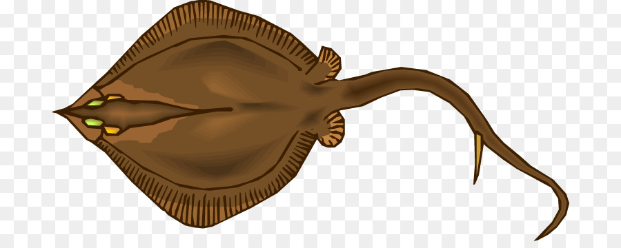 Stingray，Común Stingray PNG