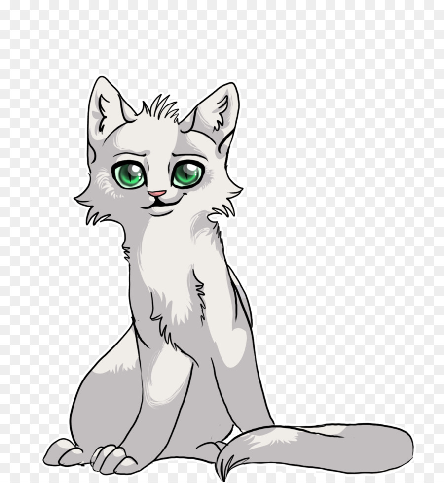 Gato Blanco，Gato PNG