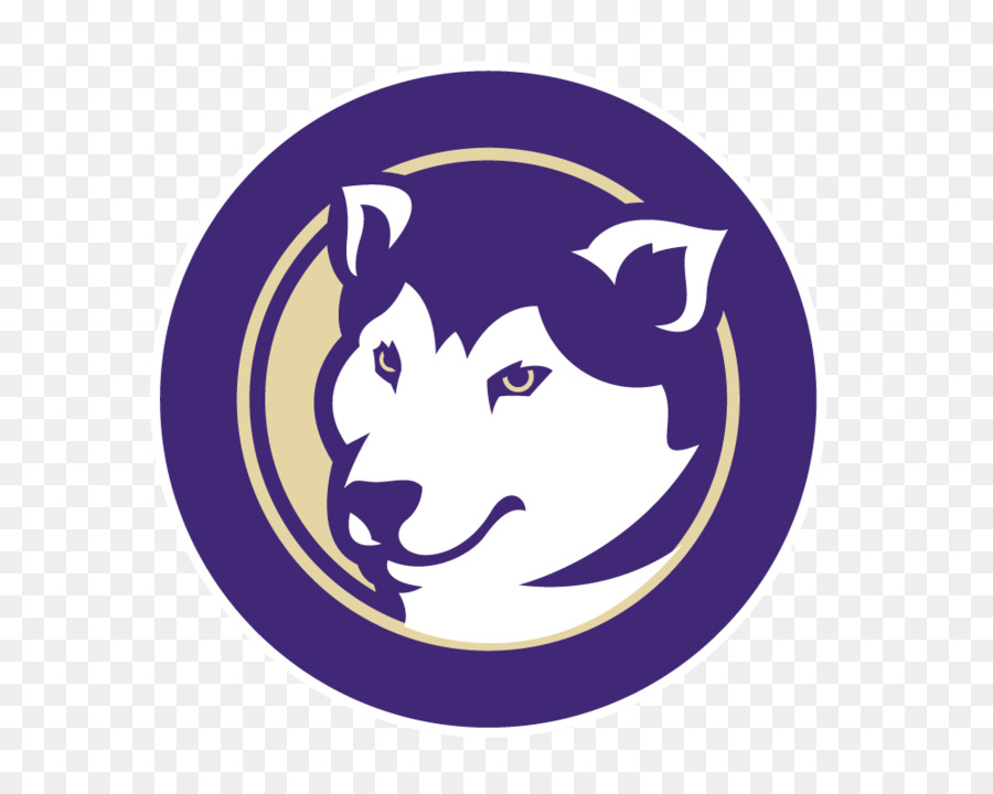 Universidad De Washington，Fútbol De Washington Huskies PNG