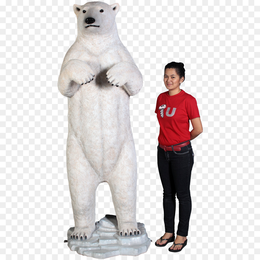 Oso Polar，Mujer PNG